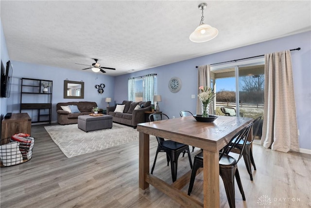 dining room featuring ceiling fan, a textured ceiling, and light hardwood / wood-style floors