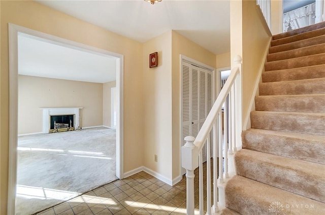 stairway featuring carpet floors