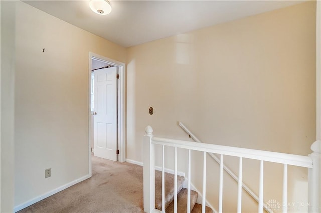 hallway featuring carpet flooring