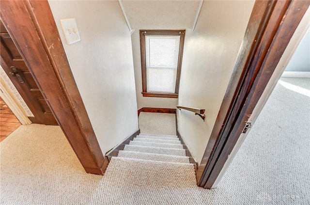 staircase with carpet floors