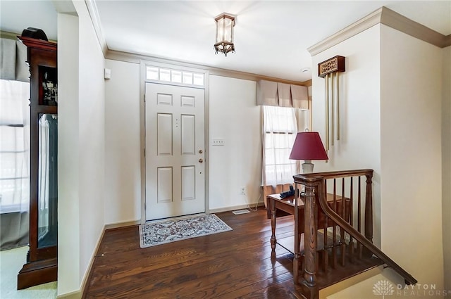 entryway featuring ornamental molding and dark wood-type flooring