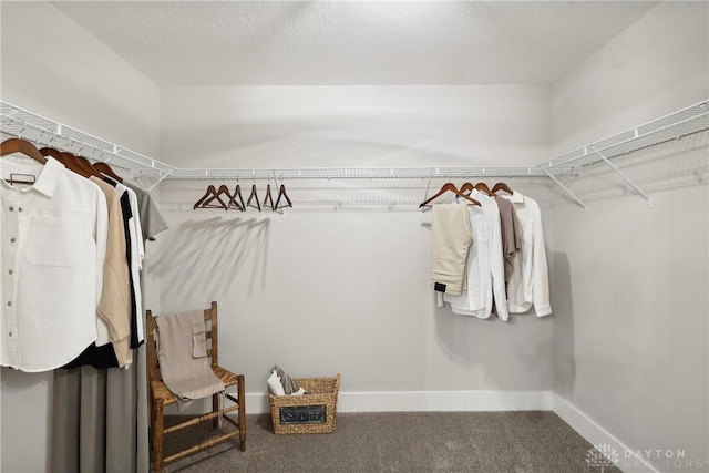 spacious closet featuring carpet floors