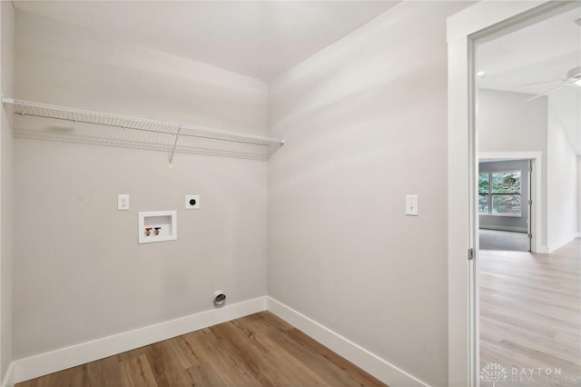 laundry room featuring hookup for a washing machine, hookup for an electric dryer, ceiling fan, and light hardwood / wood-style flooring