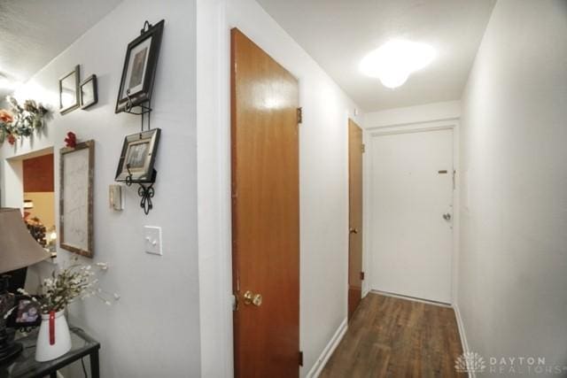 corridor featuring dark wood-type flooring