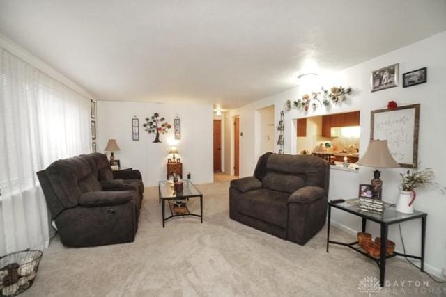 living room with light colored carpet