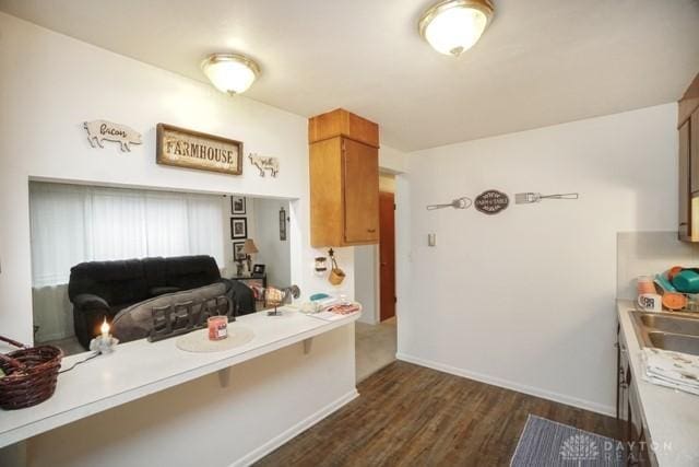 kitchen with dark wood-type flooring