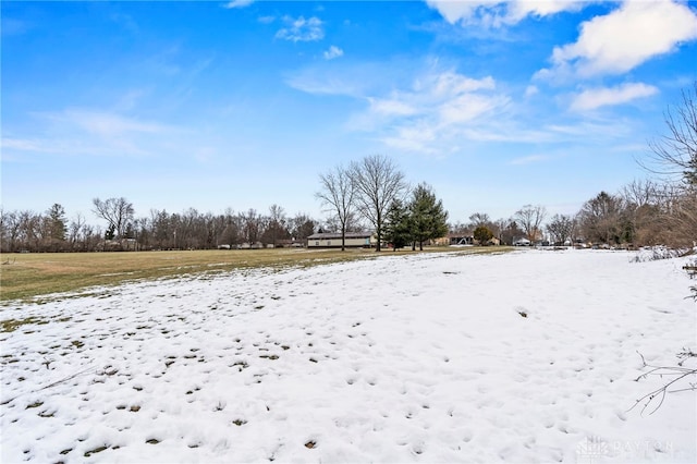 view of yard layered in snow