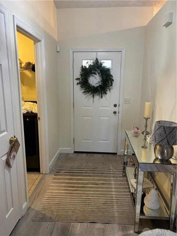 entryway featuring wood-type flooring