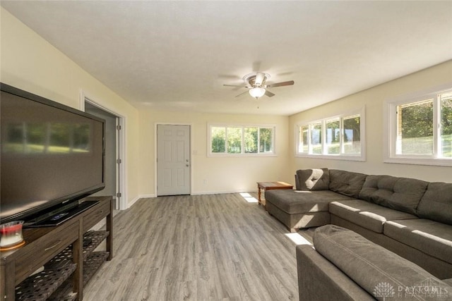 living room with a wealth of natural light, ceiling fan, and light hardwood / wood-style flooring