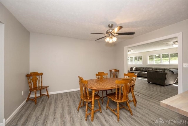 dining area with ceiling fan, wood-type flooring, and a textured ceiling