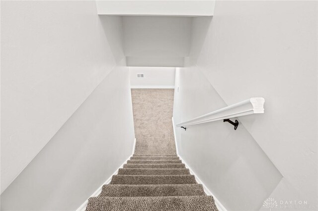 staircase with carpet floors