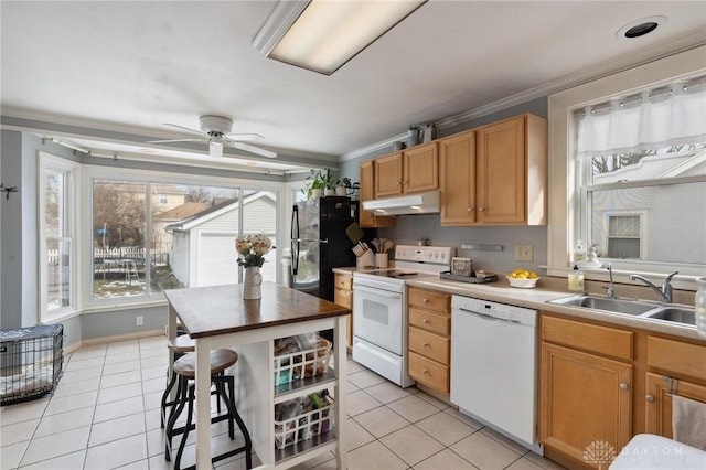 kitchen with sink, white appliances, light tile patterned floors, ornamental molding, and ceiling fan