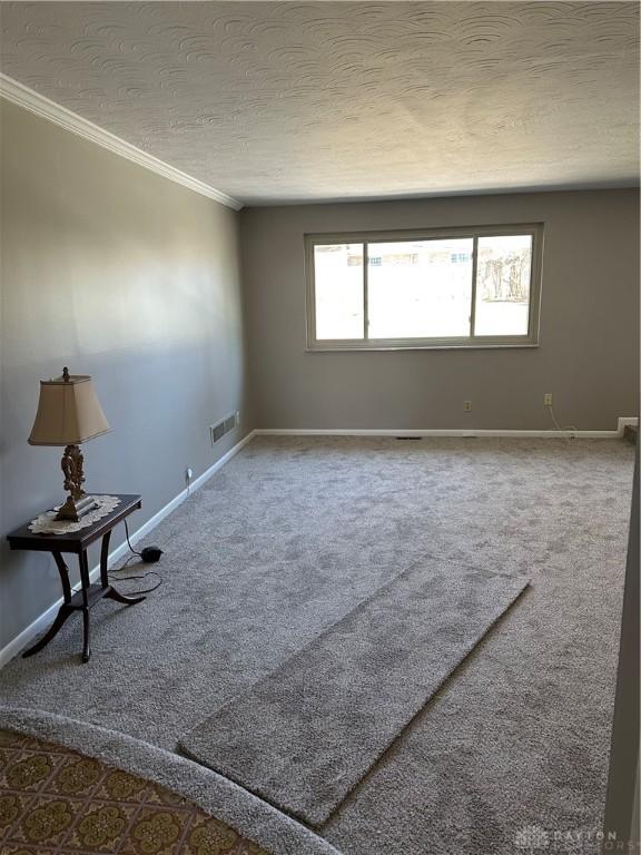 spare room featuring ornamental molding, carpet flooring, and a textured ceiling