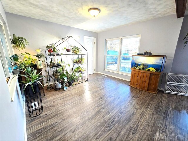 interior space with dark hardwood / wood-style flooring