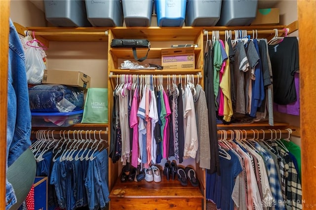 spacious closet with hardwood / wood-style floors