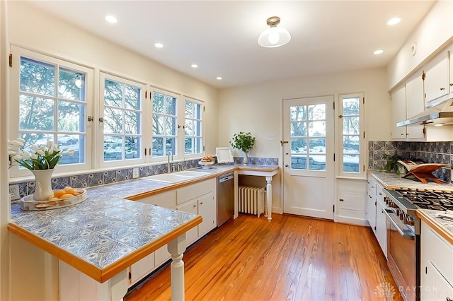 kitchen featuring sink, tasteful backsplash, stainless steel appliances, light hardwood / wood-style floors, and white cabinets