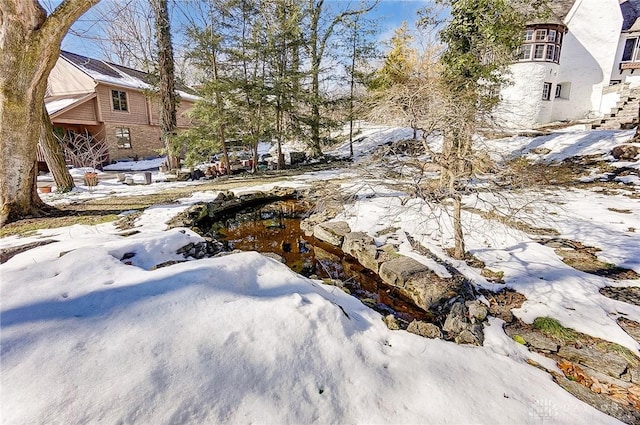 view of yard covered in snow