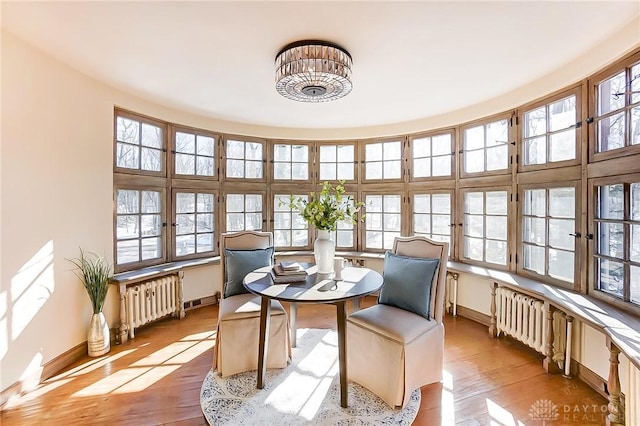 sunroom with radiator