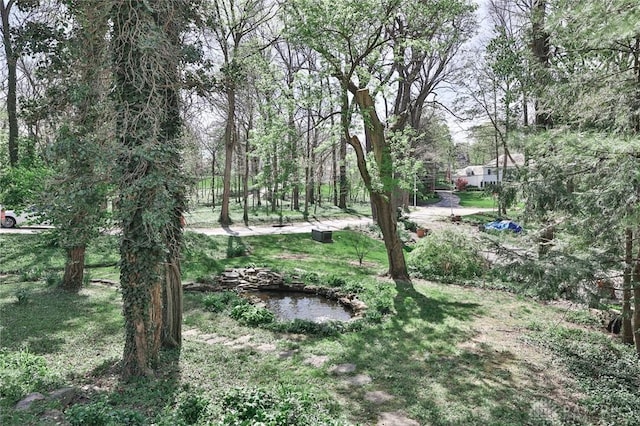 1515 Woodstock Dr, Oakwood, OH 45419 - view of yard