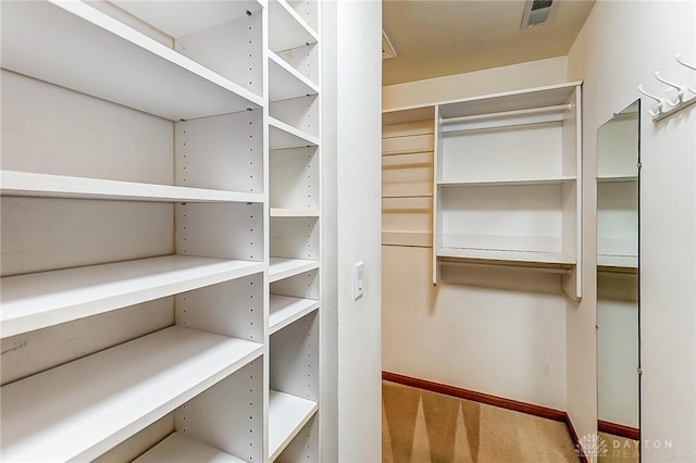 walk in closet featuring carpet