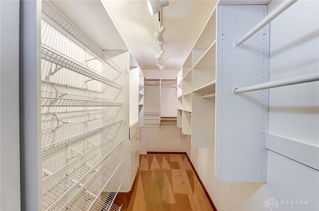 spacious closet featuring carpet