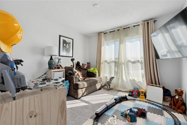 bedroom with light colored carpet