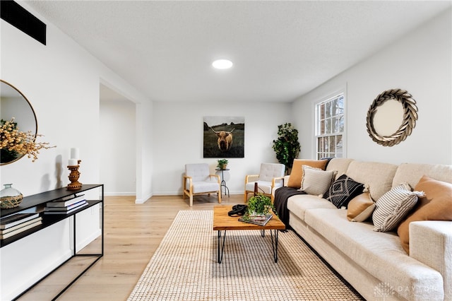 living room featuring light wood-type flooring