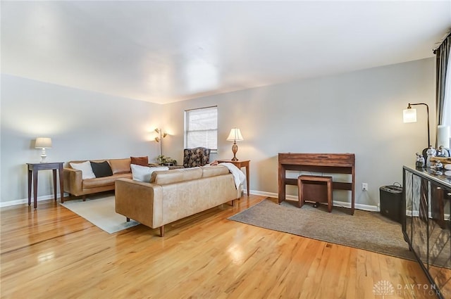 living room with wood-type flooring