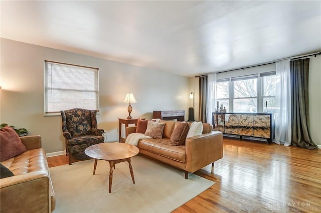 living room featuring light hardwood / wood-style flooring