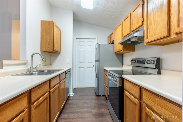 kitchen with lofted ceiling, sink, a textured ceiling, dark hardwood / wood-style floors, and stainless steel appliances