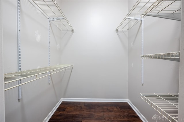 walk in closet featuring dark wood-type flooring