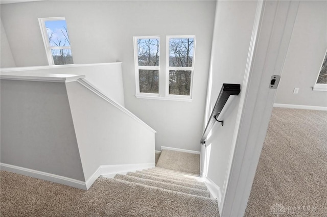 stairs with carpet floors and a wealth of natural light