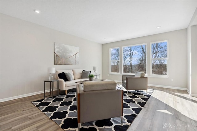 living room with wood-type flooring