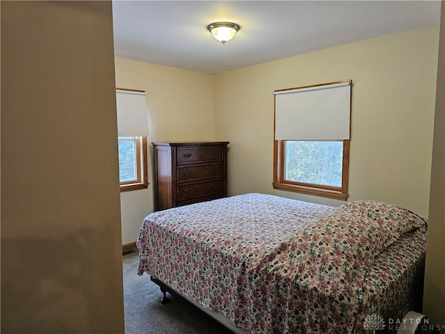 bedroom featuring carpet floors