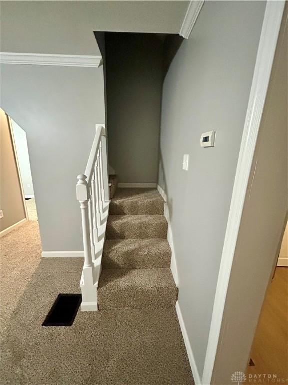 stairs with crown molding and carpet flooring