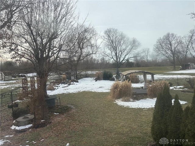 view of yard covered in snow