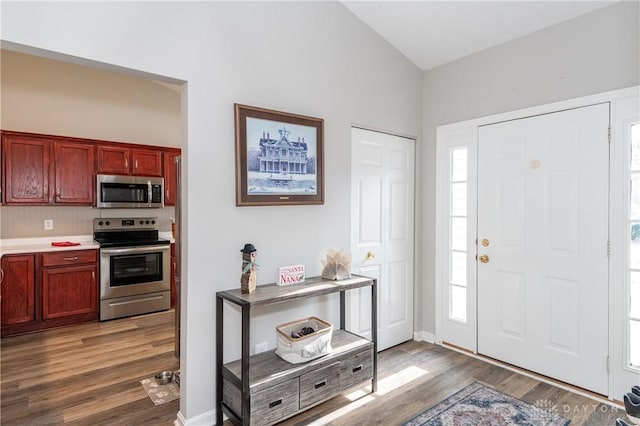 foyer featuring dark wood-type flooring and plenty of natural light