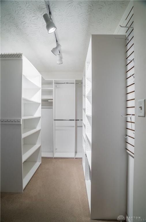 spacious closet featuring light colored carpet