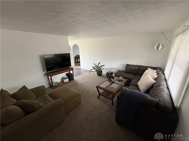 living room with carpet