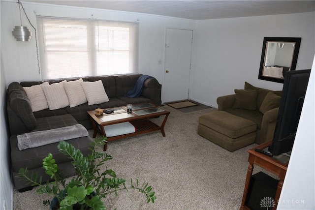 living room featuring carpet