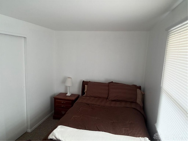 bedroom with a closet and carpet flooring