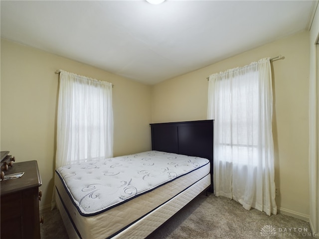 bedroom with carpet floors