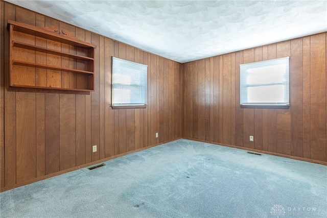 carpeted empty room with a textured ceiling, wood walls, and a wealth of natural light