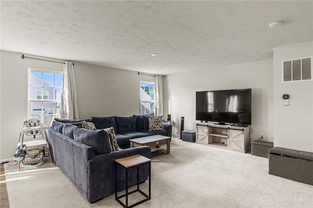 living room with a textured ceiling, carpet, and a wealth of natural light