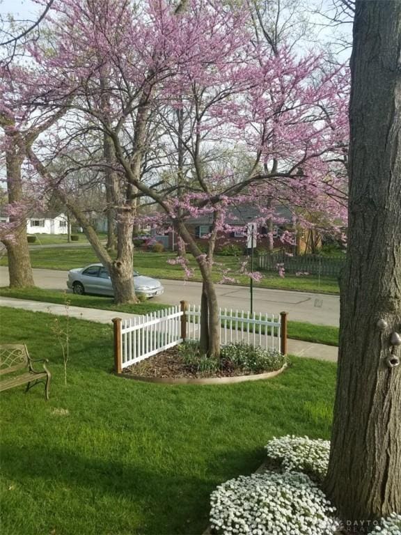 view of community featuring a yard