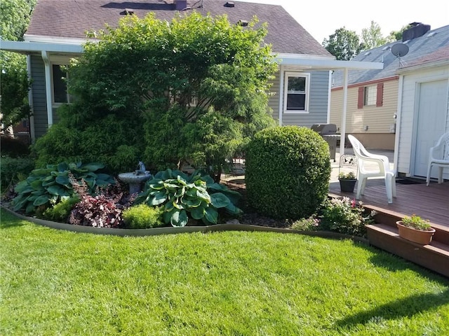 view of yard with a wooden deck