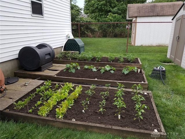 view of yard featuring a shed