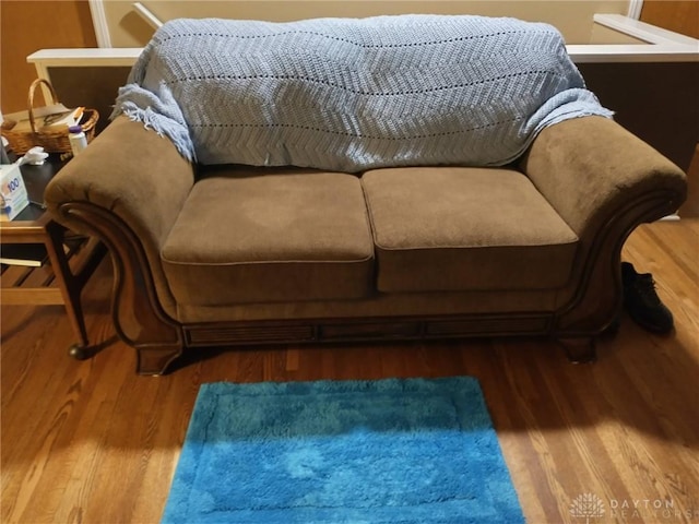 living room with wood-type flooring