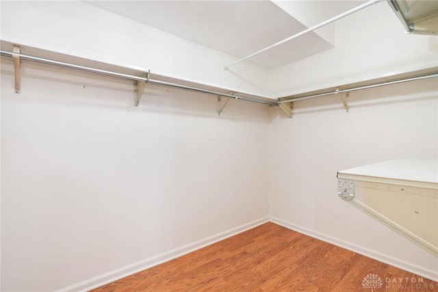 spacious closet with wood-type flooring