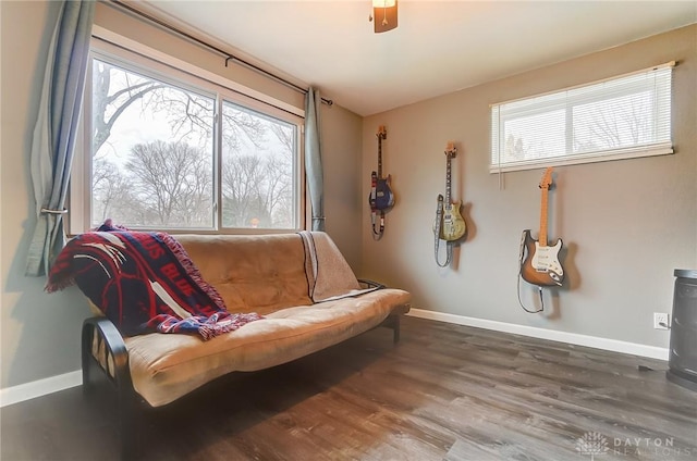 sitting room with hardwood / wood-style floors